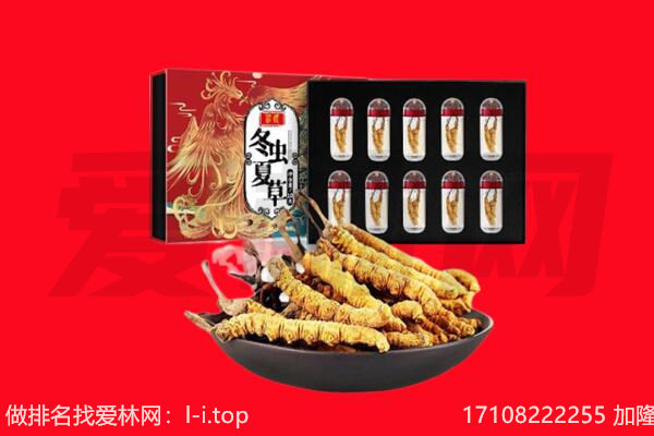 潍坊寿光市回收虫草.jpg